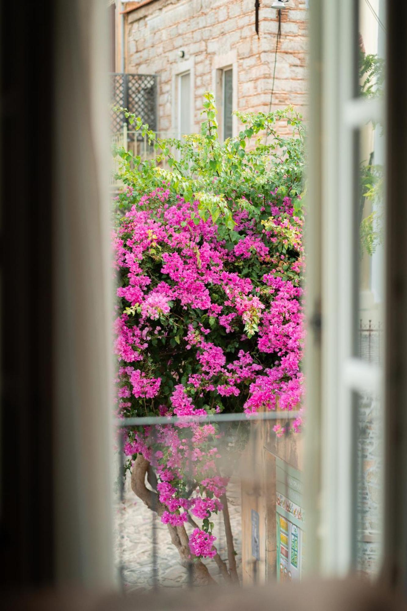 My Volissos Apartments 外观 照片